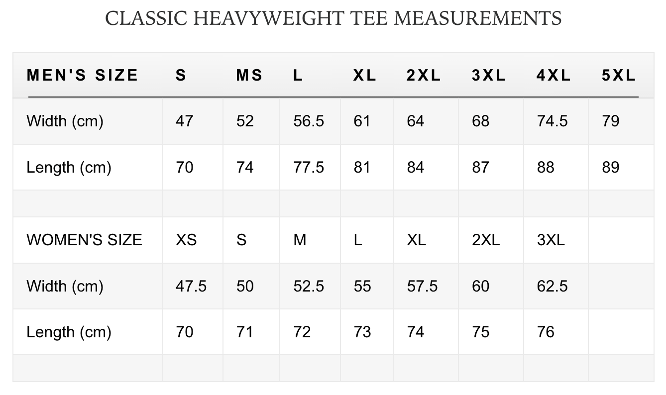 VIC CLASSIC TEE - POWDER