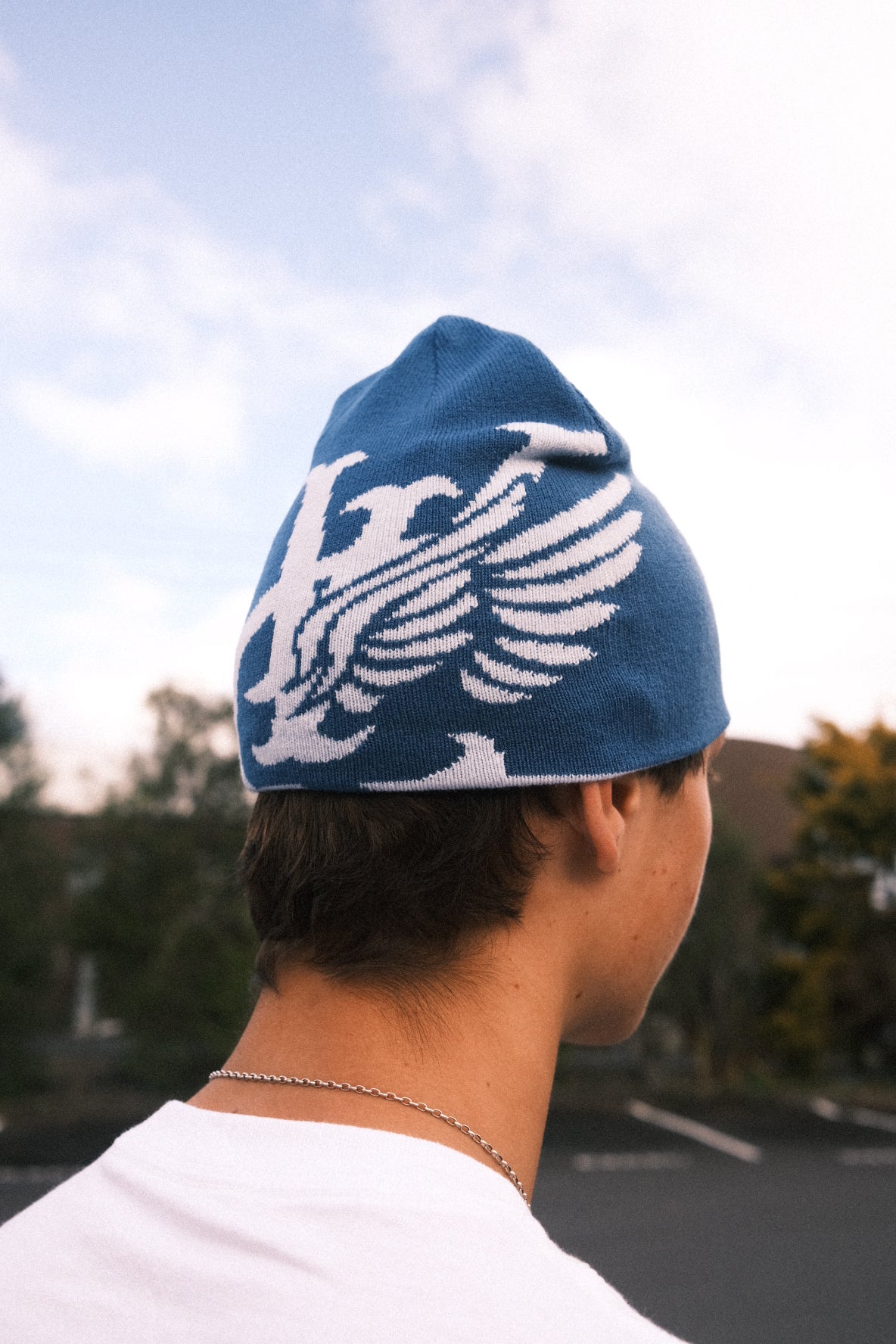 WING REVERSIBLE SKULL BEANIE - POWDER / STEEL BLUE