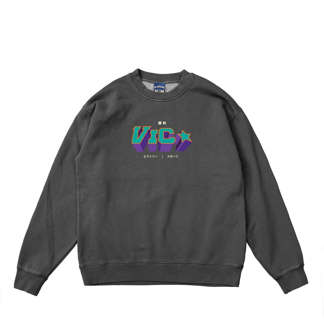 VIC APPAREL
