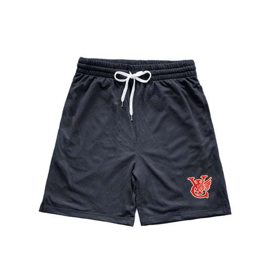 WING TEAM SHORTS - NAVY